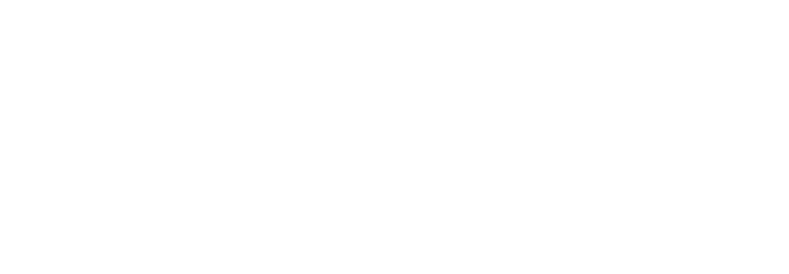 logo-dnv@5x